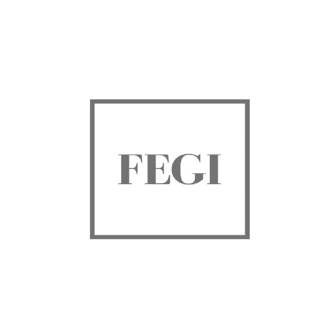 FEGI